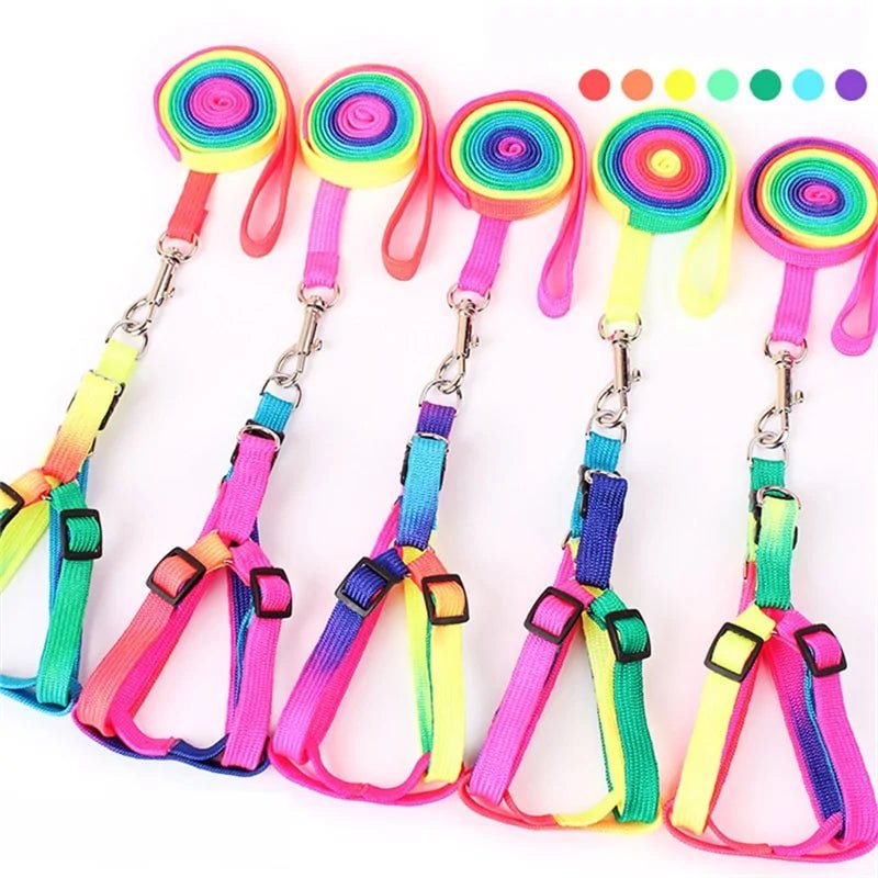 Colorful adjustable pet leash with ergonomic handle, perfect for safe and stylish pet walks.