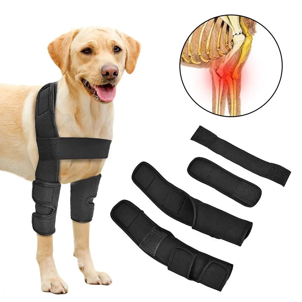 Adjustable pet leg support brace offering pain relief and improved mobility with a breathable, durable, and secure design for pets recovering from injuries or arthritis