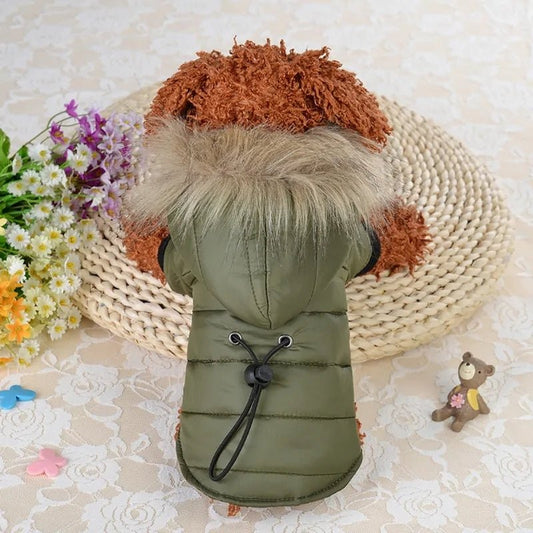 Green Warm Dog Winter Coat for small dogs with button closure, cozy and stylish for winter.