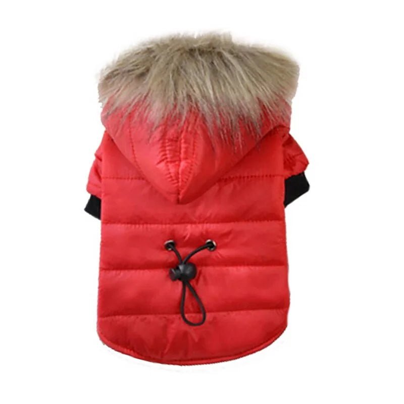 Green Warm Dog Winter Coat