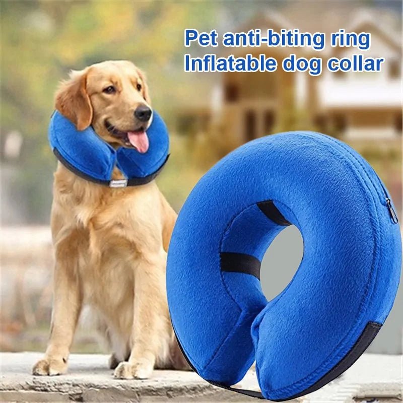 Inflatable Pet Recovery Collar