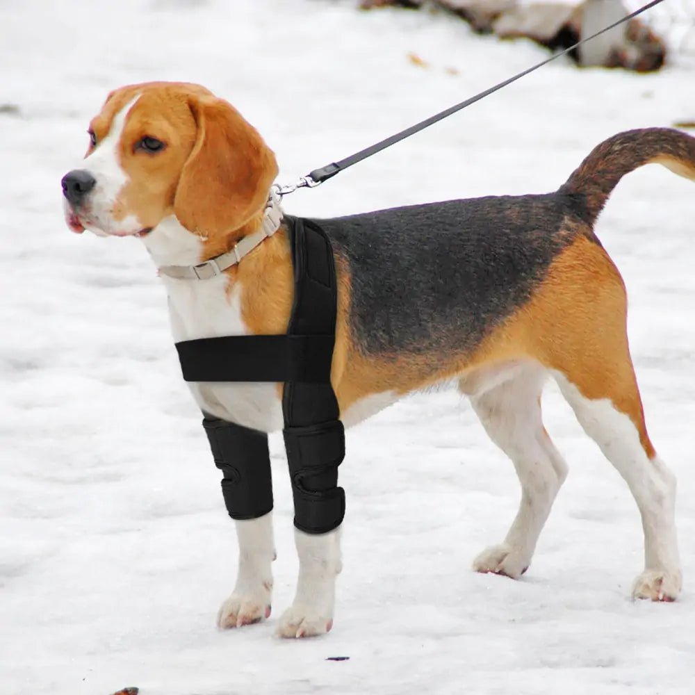 Adjustable Pet Leg Support Brace