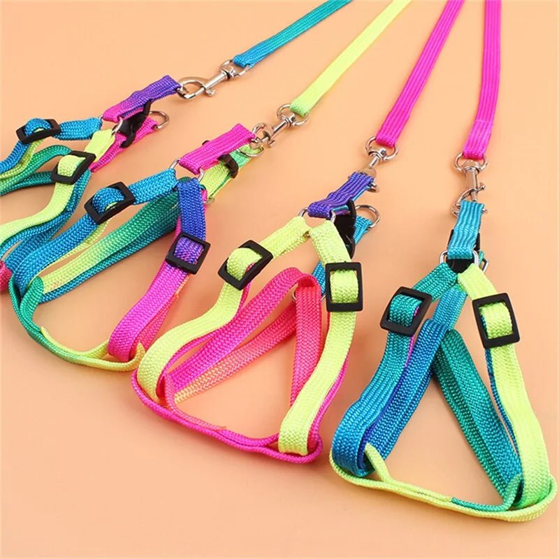 Colorful Adjustable Pet Leash