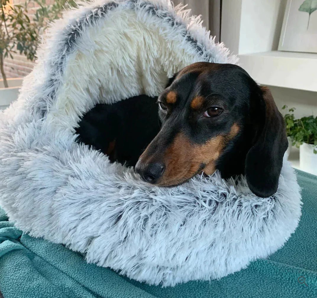 CozyHaven pet bed for dogs and cats, designed for warmth, comfort, and joint support during winter, with a washable cover and stress-reducing features.